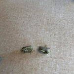 View Gallery Image #5