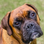 View Gallery Image #9