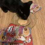 View Gallery Image #11