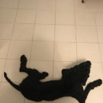 View Gallery Image #5