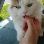 View Gallery Image #5