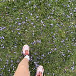 View Gallery Image #13