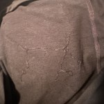 View Gallery Image #5