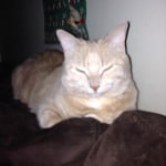 View Gallery Image #4