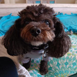 View Gallery Image #9