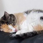 View Gallery Image #7