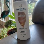 View Gallery Image #3