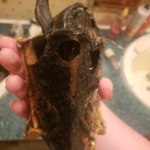 View Gallery Image #1