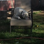 View Gallery Image #2