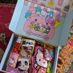 Sanrio Mystery Snack Box – Mashi Box