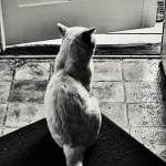 View Gallery Image #4