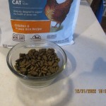 Nutro cat food senior sales