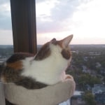 View Gallery Image #14