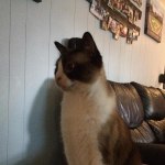 View Gallery Image #3