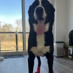 View Gallery Image #11