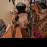 View Gallery Image #13