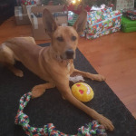 View Gallery Image #14