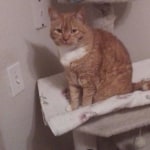 View Gallery Image #8