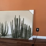Organ Pipe Cactus Framed Canvas Wall Art - World Market