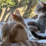 View Gallery Image #4