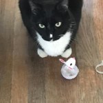 View Gallery Image #12