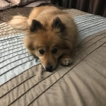 View Gallery Image #7