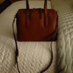 Fossil Sydney Satchel Black Leather Crossbody Bag Handbag SHB1978001 NWT  $180