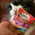 View Gallery Image #4