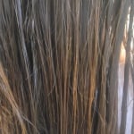 View Gallery Image #13