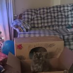 View Gallery Image #9