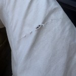 View Gallery Image #4