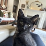 View Gallery Image #14