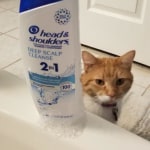 View Gallery Image #1