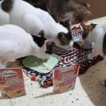 View Gallery Image #7