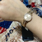 Shae Mini Three Hand Stainless Rose Gold Tone Steel Watch BQ3371