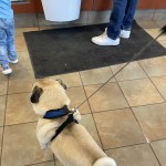 View Gallery Image #7