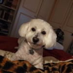 View Gallery Image #2