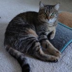 View Gallery Image #2