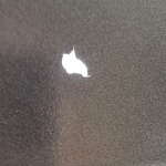 View Gallery Image #1