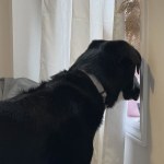 View Gallery Image #14