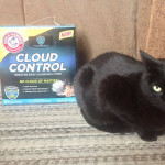 View Gallery Image #13