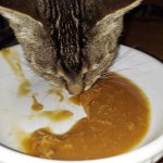 View Gallery Image #11