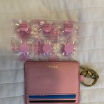 Fossil sofia top card case