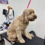 View Gallery Image #2