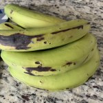 BANCOL40#OR | 3.5-4 Organic Banana (40#)