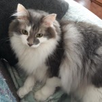 View Gallery Image #13