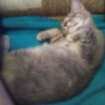 View Gallery Image #12