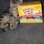 View Gallery Image #3