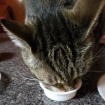 View Gallery Image #6