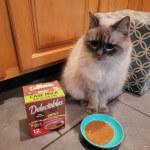 View Gallery Image #8